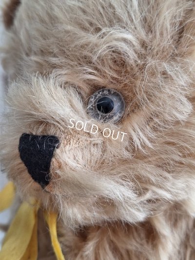 画像3: アンティークモヘアテディベア