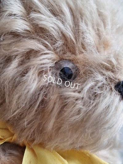 画像4: アンティークモヘアテディベア