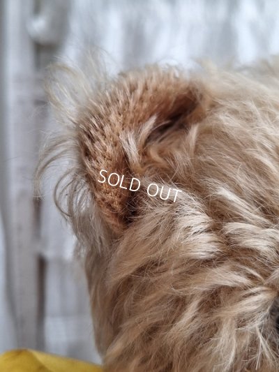 画像5: アンティークモヘアテディベア
