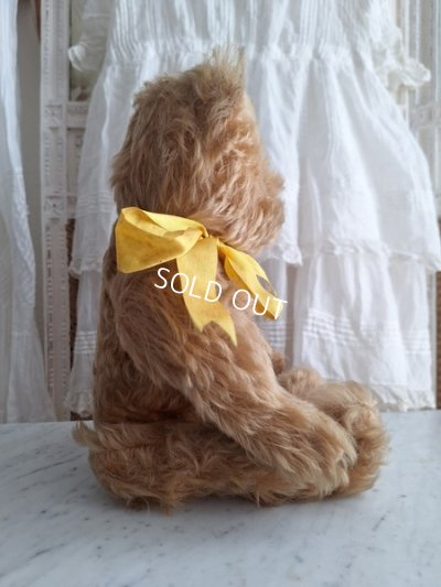 画像10: アンティークモヘアテディベア