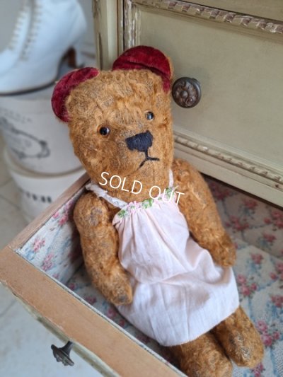 Jpmteddybear