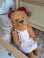 Jpmteddybear