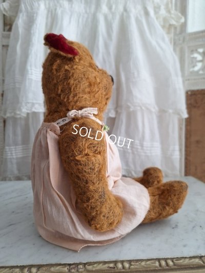 画像16: JPMテディベア