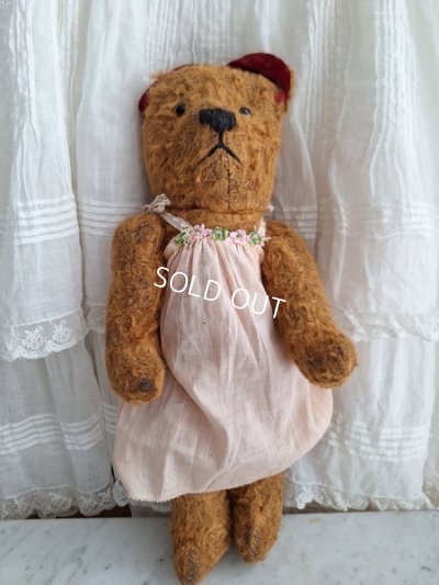 画像13: JPMテディベア