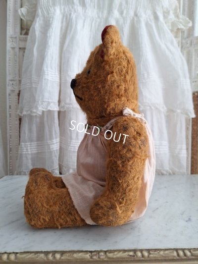 画像15: JPMテディベア