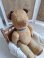frenchteddybear