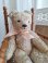 teddybear