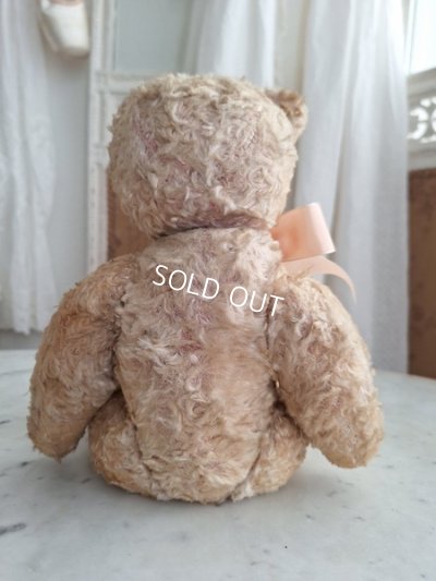 画像8: アンティークテディベア