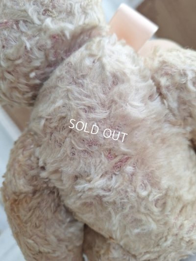 画像9: アンティークテディベア