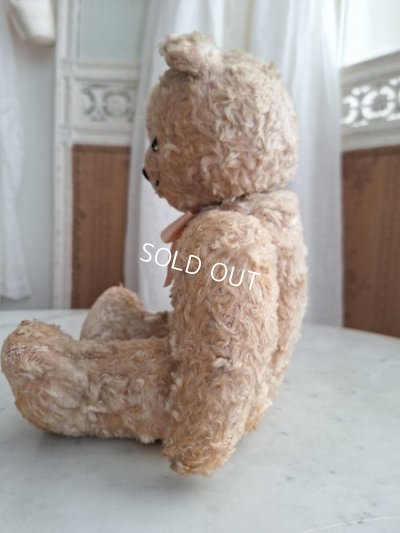 画像13: アンティークテディベア