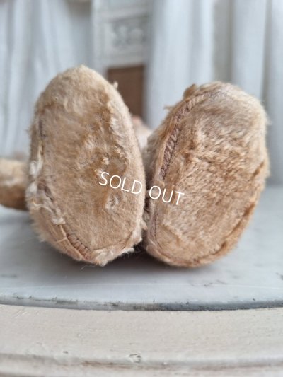 画像11: アンティークテディベア