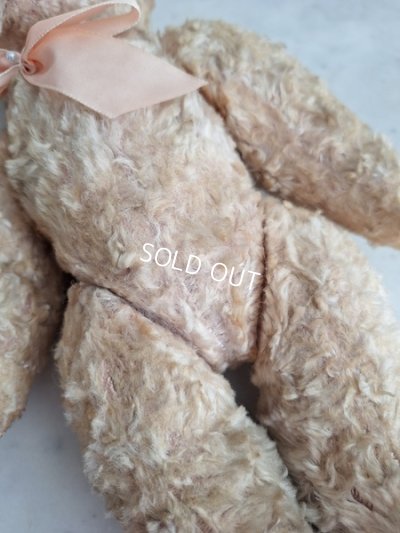 画像10: アンティークテディベア