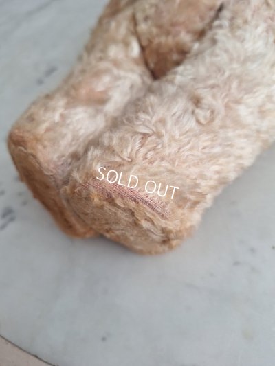 画像20: アンティークテディベア