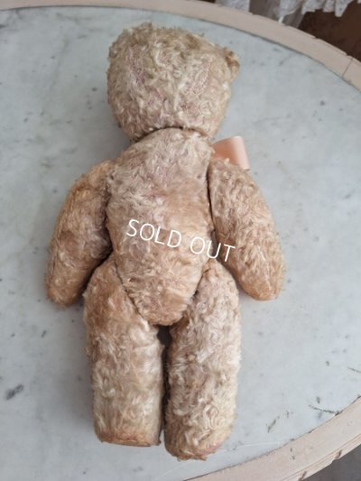 画像17: アンティークテディベア