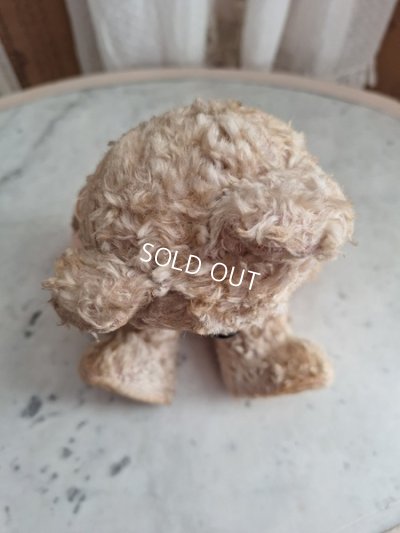 画像16: アンティークテディベア