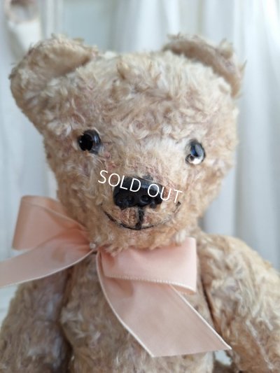 画像2: アンティークテディベア