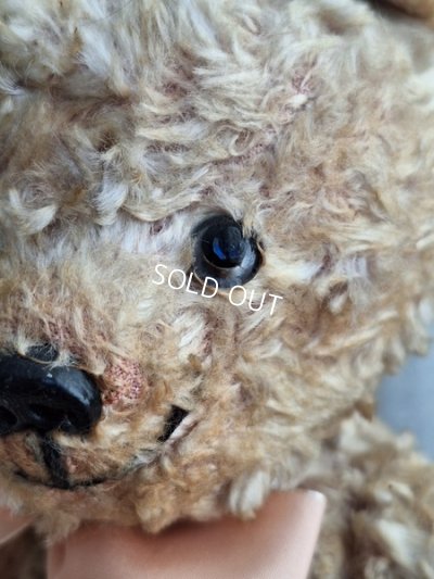 画像4: アンティークテディベア