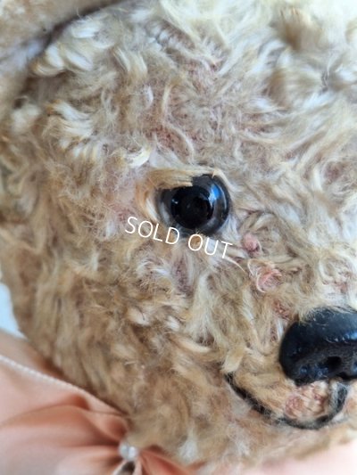 画像5: アンティークテディベア