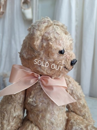 画像6: アンティークテディベア