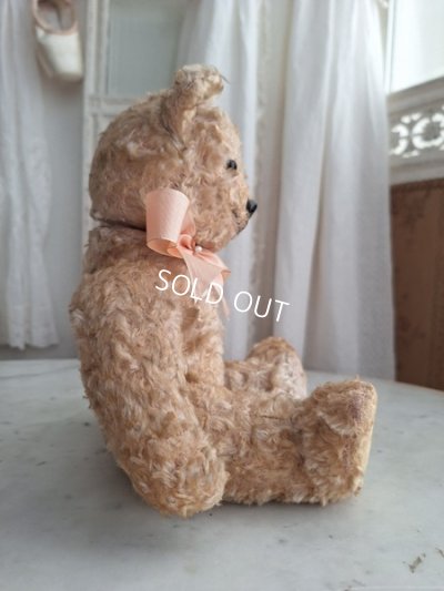 画像14: アンティークテディベア