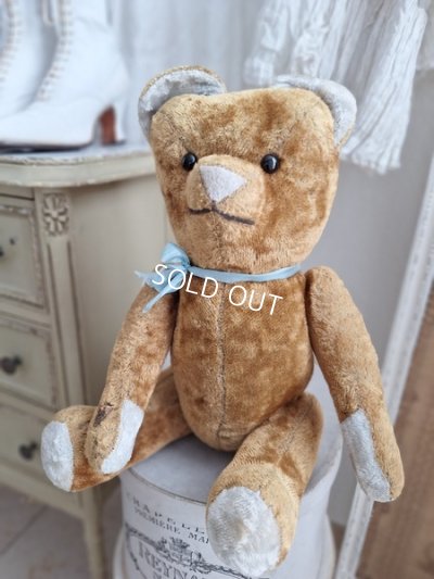 jpmteddybear