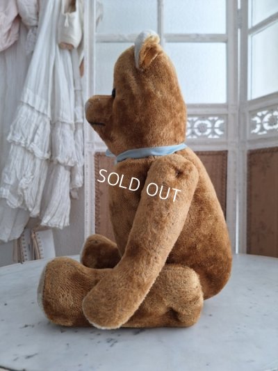 画像9: JPMフレンチテディベア