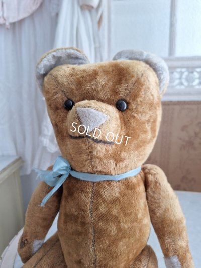 画像18: JPMフレンチテディベア