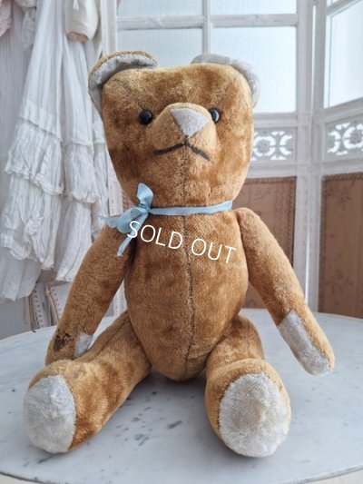 画像4: JPMフレンチテディベア