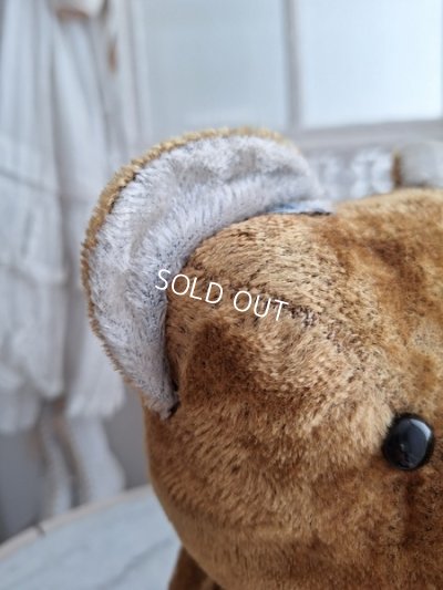 画像6: JPMフレンチテディベア