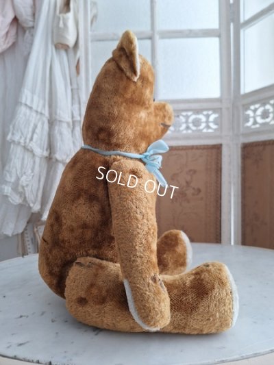 画像10: JPMフレンチテディベア