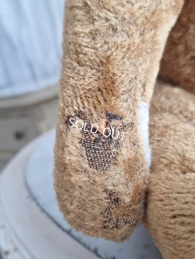 画像19: JPMフレンチテディベア