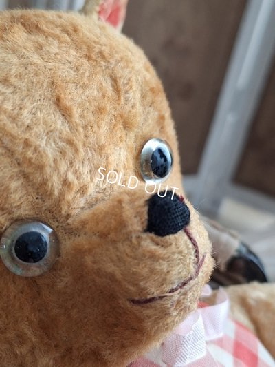画像6: アンティークテディベア