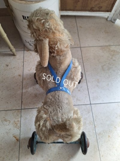 画像4: 車輪付きアンティークプードル