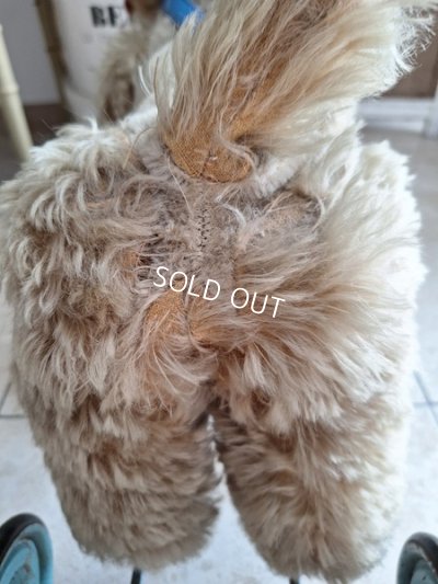 画像6: 車輪付きアンティークプードル