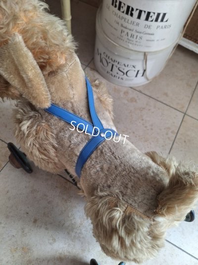 画像5: 車輪付きアンティークプードル