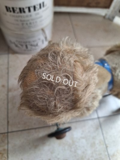 画像8: 車輪付きアンティークプードル