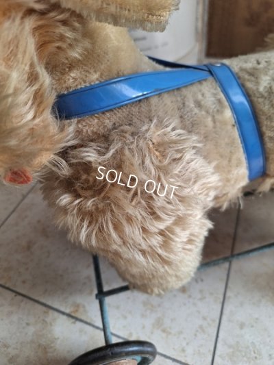 画像10: 車輪付きアンティークプードル