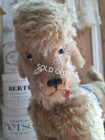 画像2: 車輪付きアンティークプードル