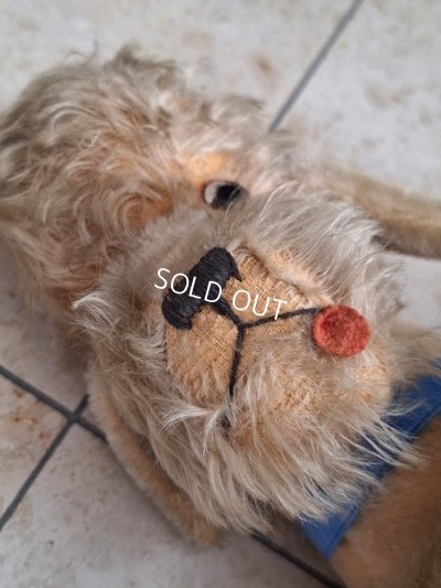 画像11: 車輪付きアンティークプードル