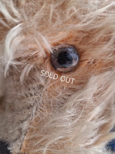 画像16: 車輪付きアンティークプードル