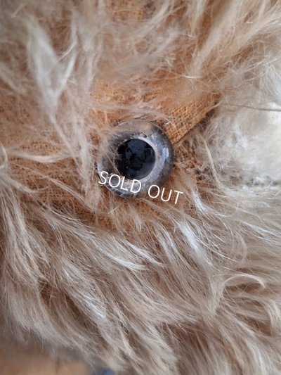 画像3: 車輪付きアンティークプードル