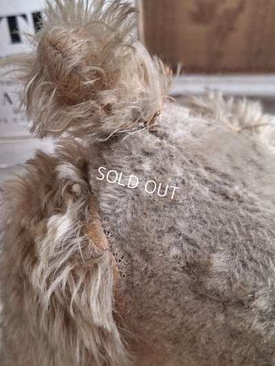 画像13: 車輪付きアンティークプードル