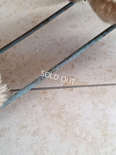 画像17: 車輪付きアンティークプードル