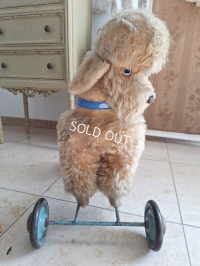 画像18: 車輪付きアンティークプードル