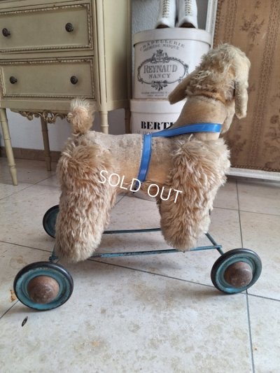 画像20: 車輪付きアンティークプードル