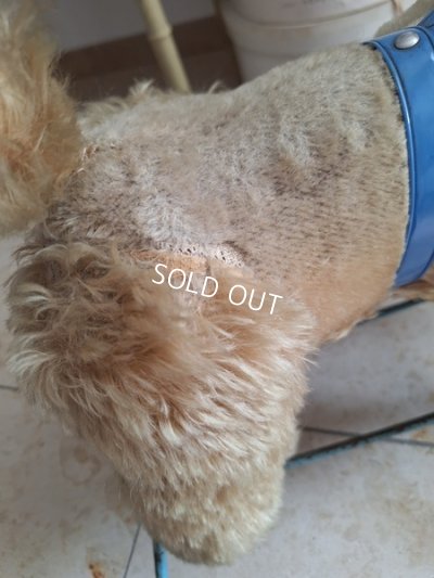 画像22: 車輪付きアンティークプードル