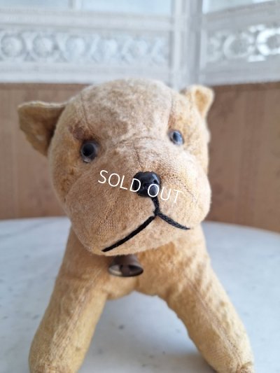 画像2: フレンチドッグ