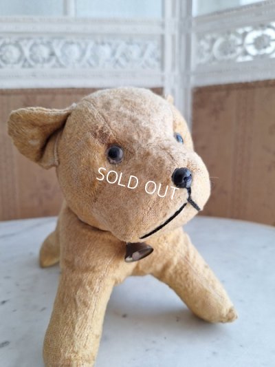 画像10: フレンチドッグ