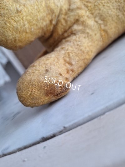 画像13: フレンチドッグ