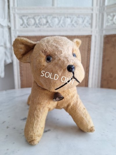 画像15: フレンチドッグ